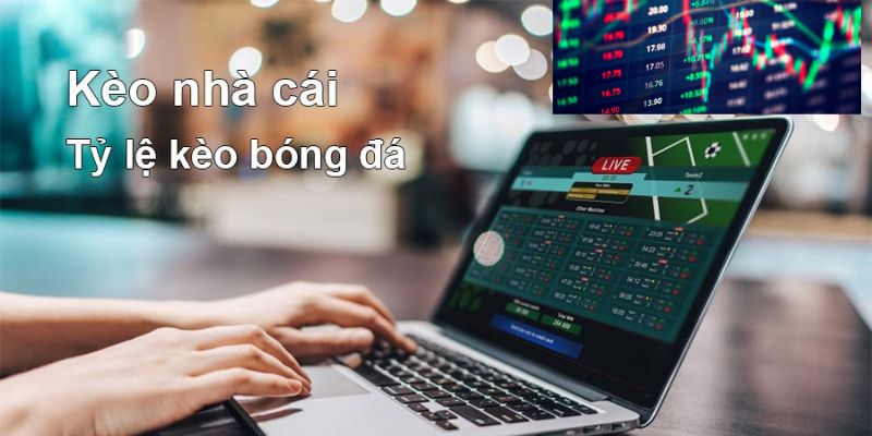 Yếu tố ảnh hưởng đến bóng đá tỷ lệ kèo nhà cái